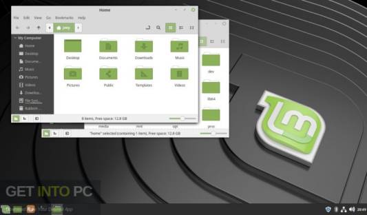 Linux Mint direct link Download