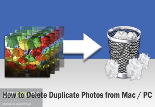 Duplicate Sweeper Free Download