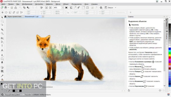 CorelDRAW Graphics Suite 2020 Free Download
