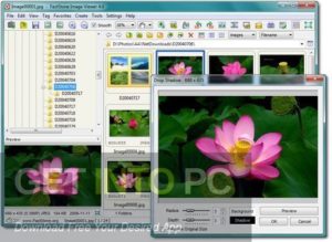 FastStone Image Viewer 2020 Free Download FastStone Image Viewer 2020 Free Download