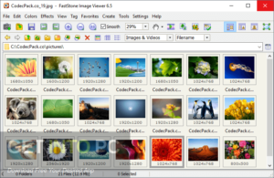 FastStone Image Viewer 2020 Free Download FastStone Image Viewer 2020 Free Download