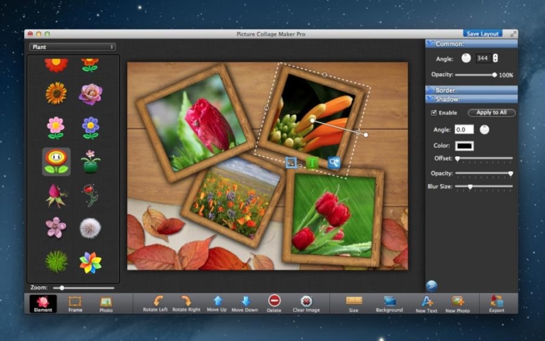 Picture Collage Maker Pro Free Download