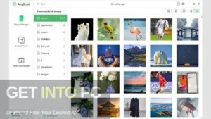 AnyDroid Free Download