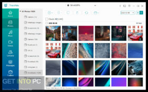 AnyMP4 TransMate Free Download