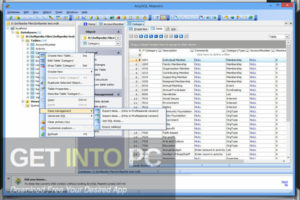AnySQL Maestro Professional 2020 Free Download