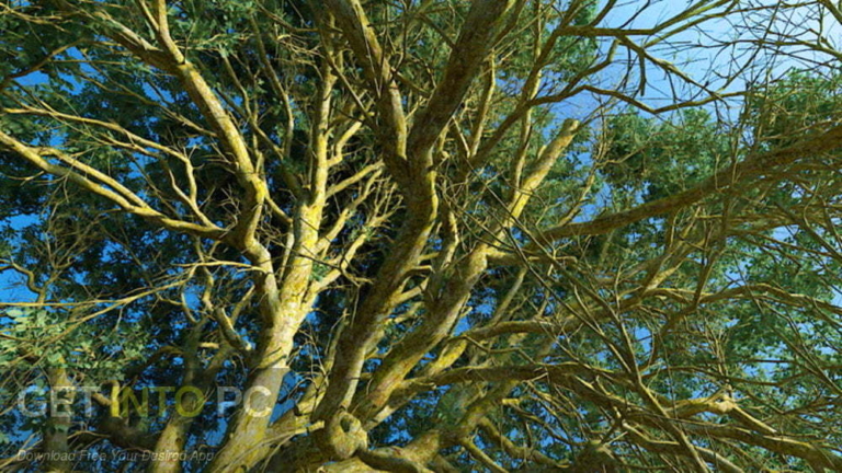 Blender Grove 6 Free Download
