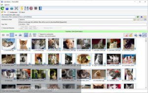 Bulk Image Downloader 2020 Free Download