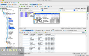 DbVisualizer Pro 2020 Free Download