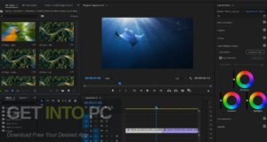 DesignOptimal – Vamify – 500+ Seamless Video Transitions Free Download
