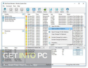 Disk Pulse Ultimate 2020 Free Download