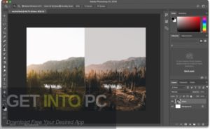 Image Resize Guide Free Download