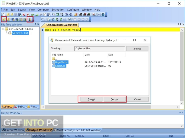 PilotEdit 2020 Free Download