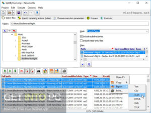 Rename Us Pro Free Download