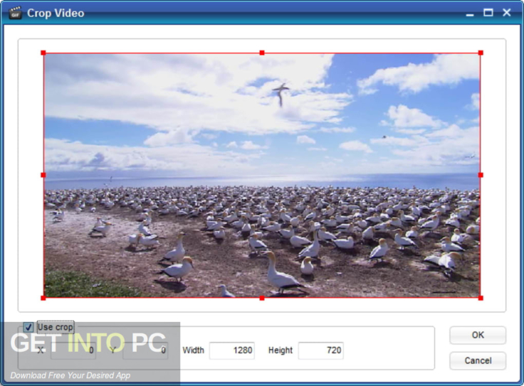 ThunderSoft Video to GIF Converter 2020 Free Download