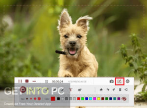 TuneFab Screen Recorder Free Download