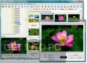 FastStone Image Viewer Corporate 2020 Free Download