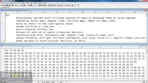 VEDIT Free Download
