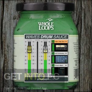 Whole Loops – GOLDEN BUNDLE Free Download