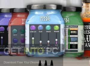 Whole Loops – GOLDEN BUNDLE Free Download
