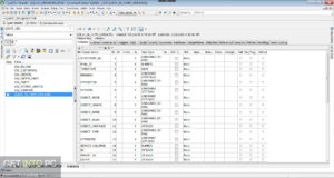 Toad for Oracle 2021 Free Download