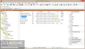 XYplorer 2021 Free Download