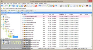 XYplorer 2021 Free Download