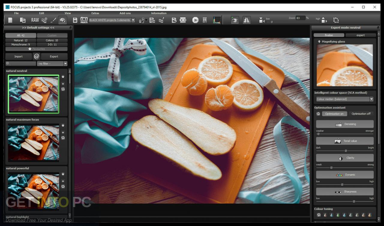 Franzis FOCUS Projects 5 Pro Free Download