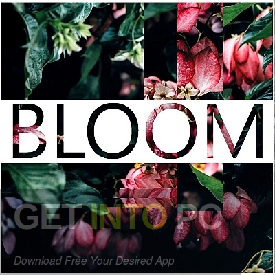 Instruments by Lamprey – Bloom Free Download