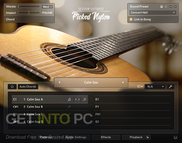 Native Instruments – Session Guitarist Picked Nylon Free Download