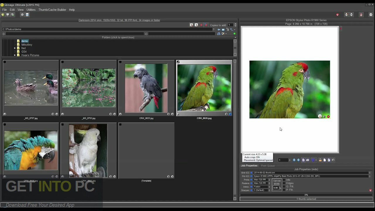 Qimage Ultimate 2022 Free Download