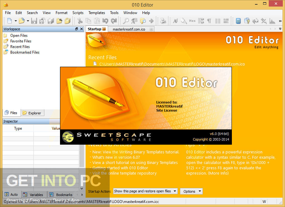 SweetScape 010 Editor 2021 Free Download