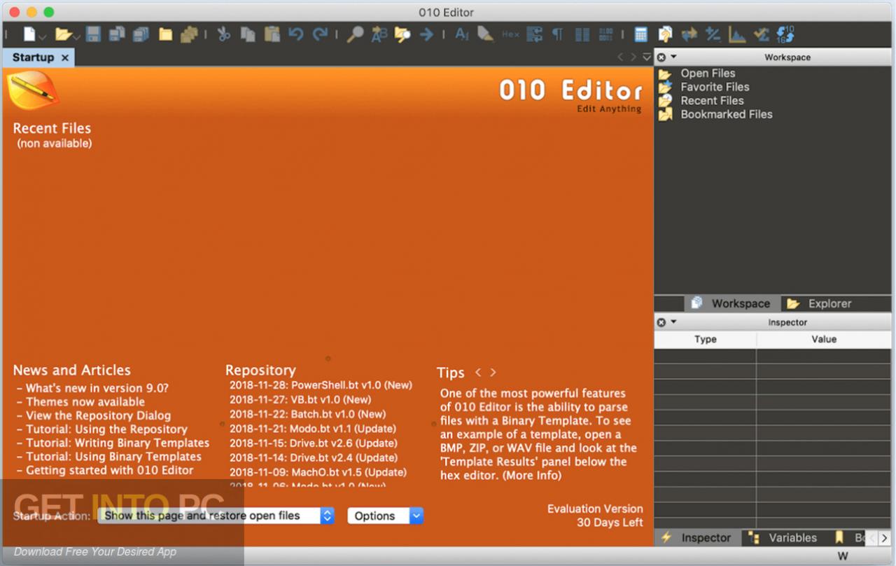 SweetScape 010 Editor 2021 Free Download