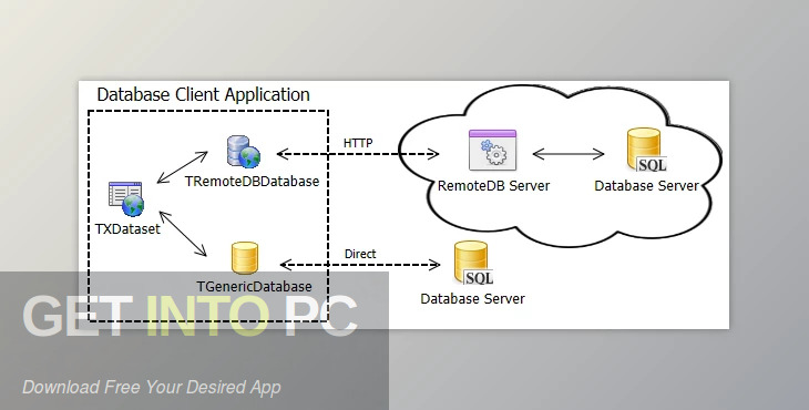 TMS RemoteDB 2021 Free Download