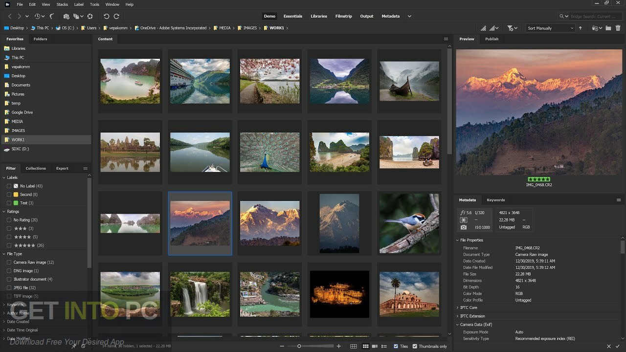 Adobe Bridge 2022 Free Download