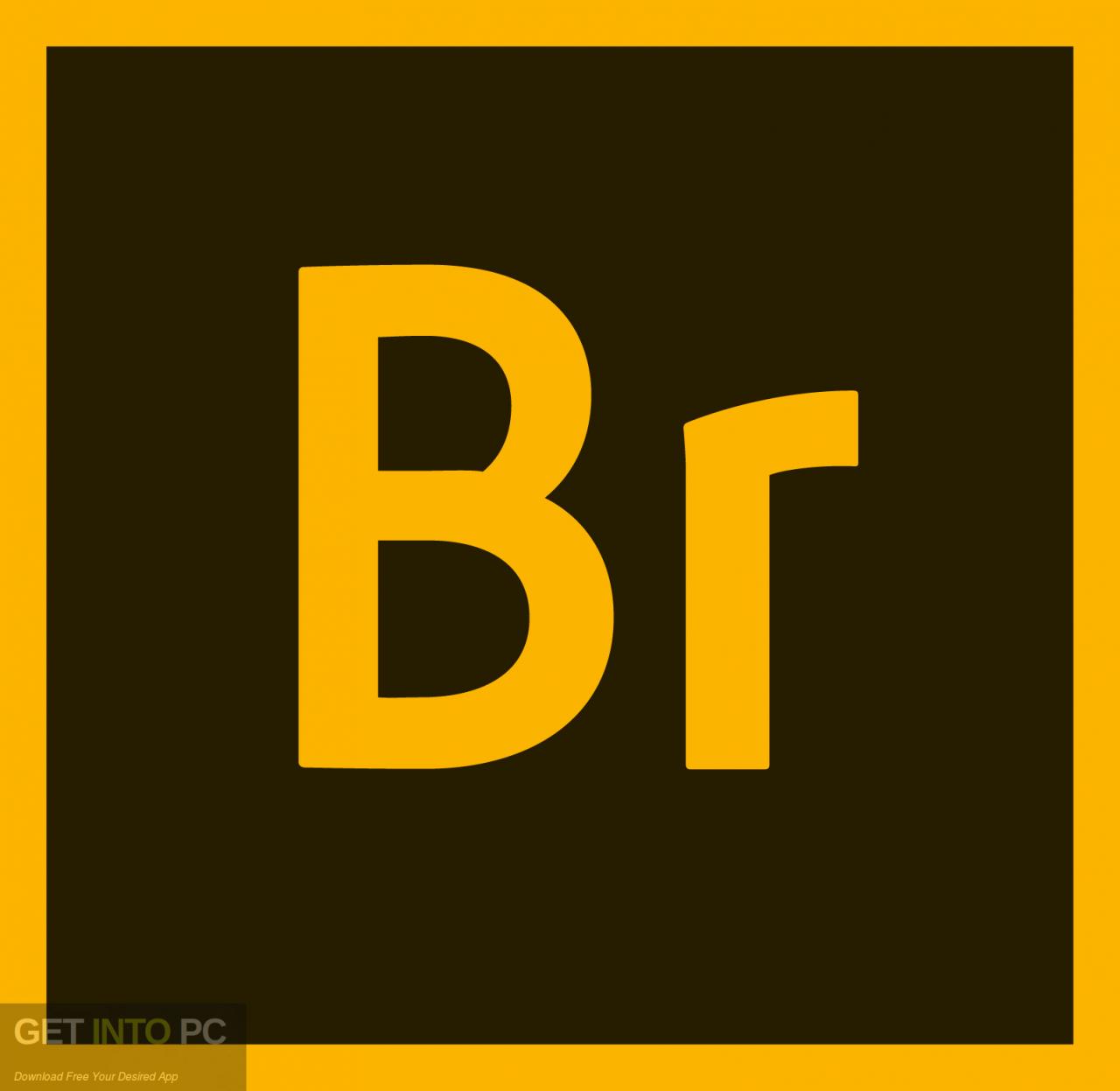 Adobe Bridge 2022 Free Download