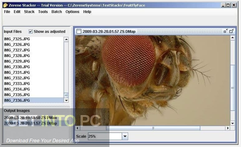 Zerene Stacker Professional Free Download