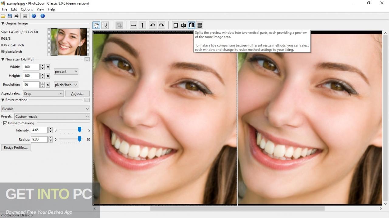 Benvista PhotoZoom Classic 2022 Free Download