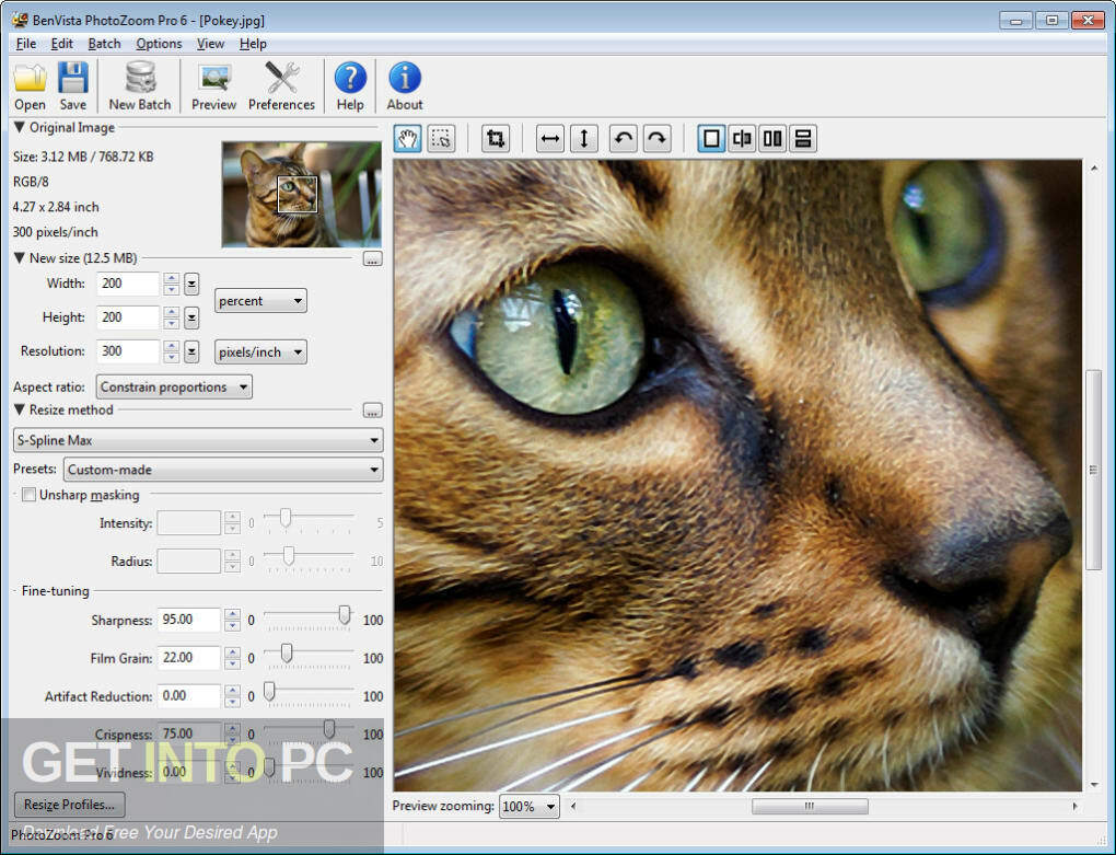 Benvista PhotoZoom Pro 2022 Free Download