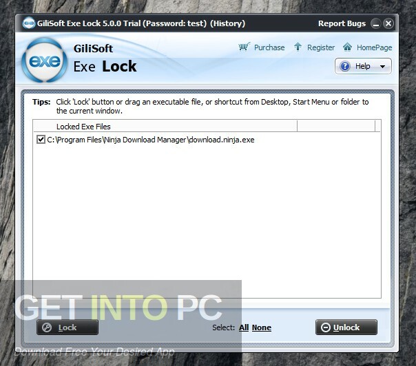 GiliSoft Exe Lock Free Download