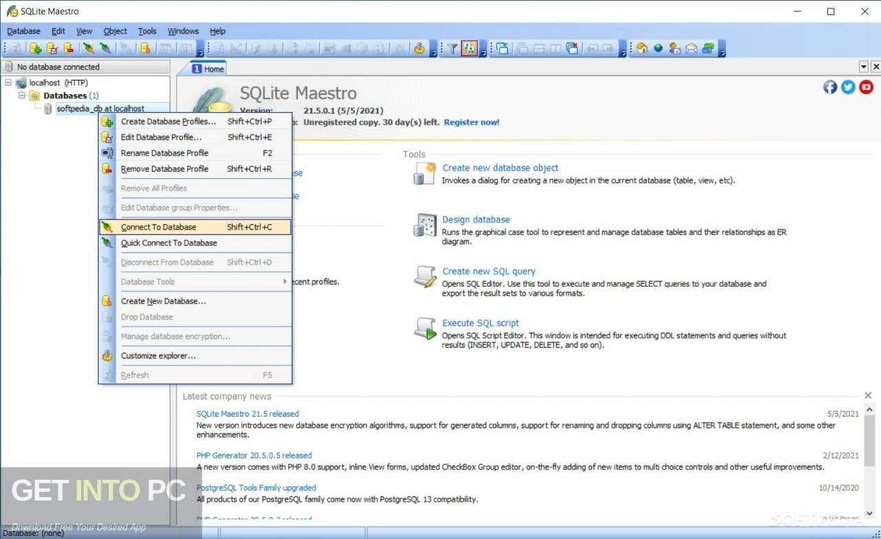 SQLite Maestro Professional 2021 Free Download