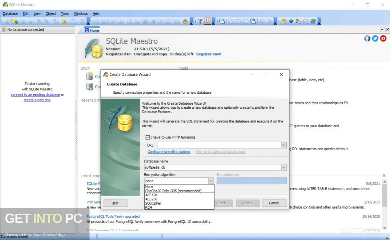 SQLite Maestro Professional 2021 Free Download