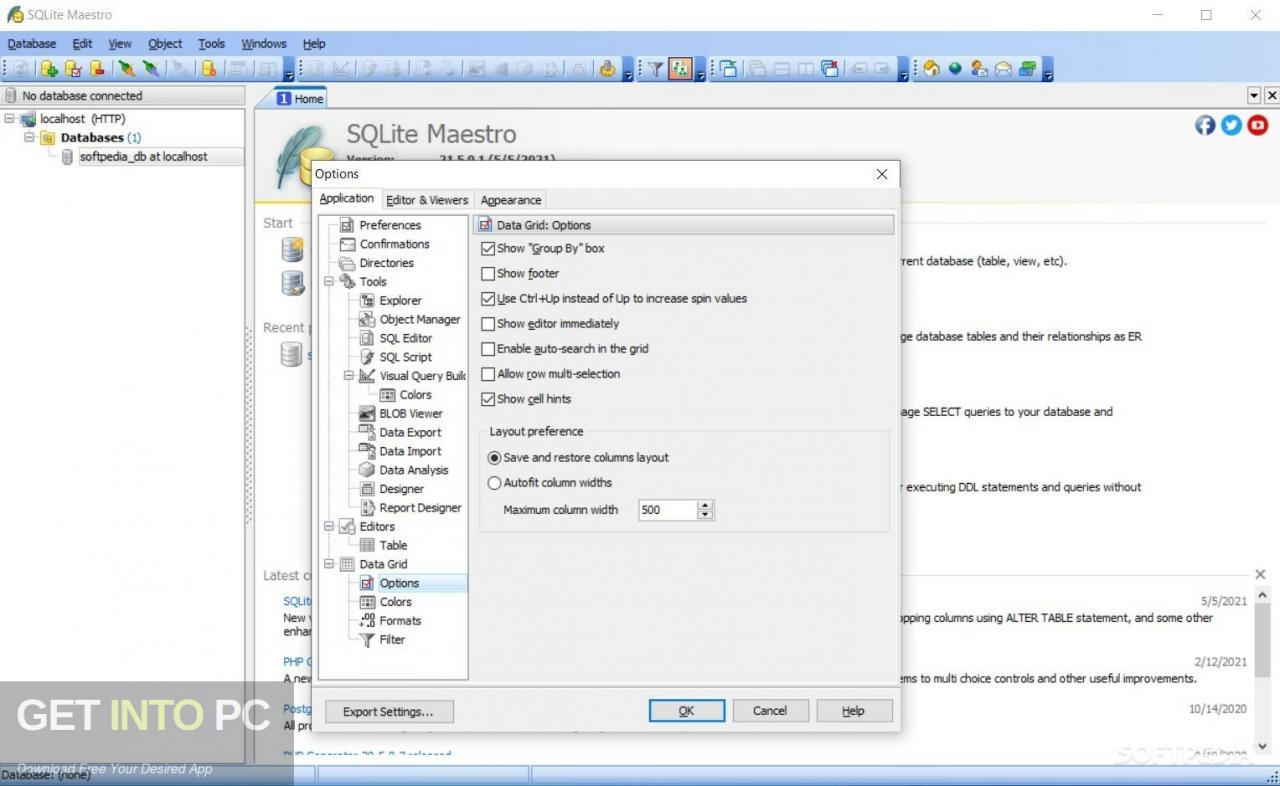 SQLite Maestro Professional 2021 Free Download
