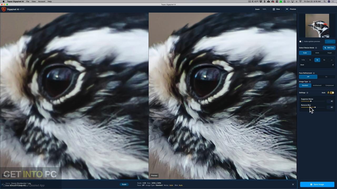 Topaz Gigapixel AI 2021 Free Download