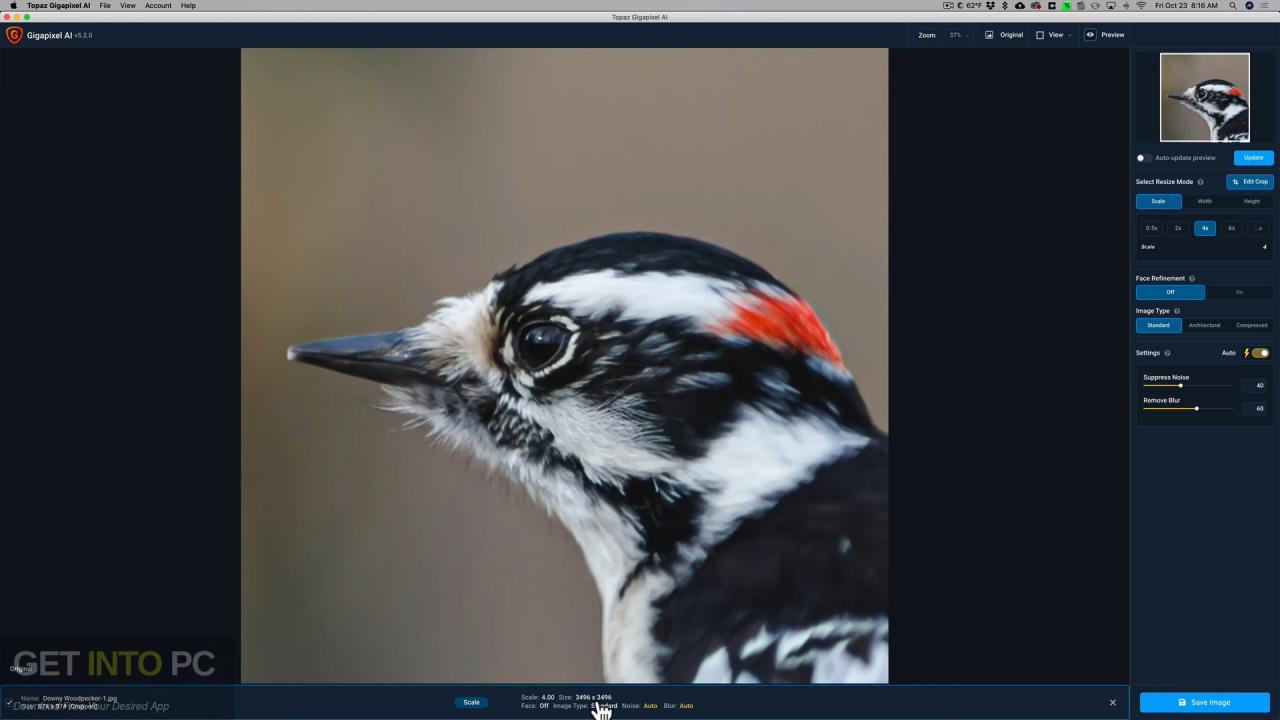 Topaz Gigapixel AI 2021 Free Download