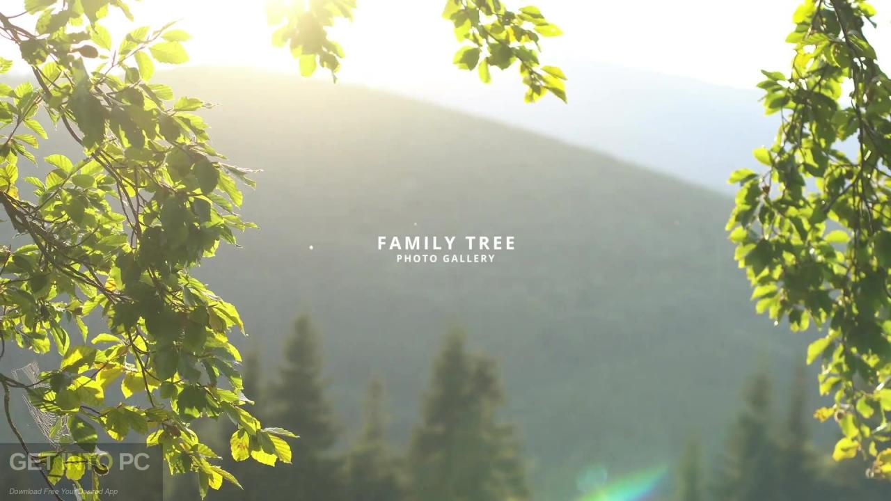 VideoHive – FCPX Family Tree – Photo Gallery 4K [MOTN] Free Download