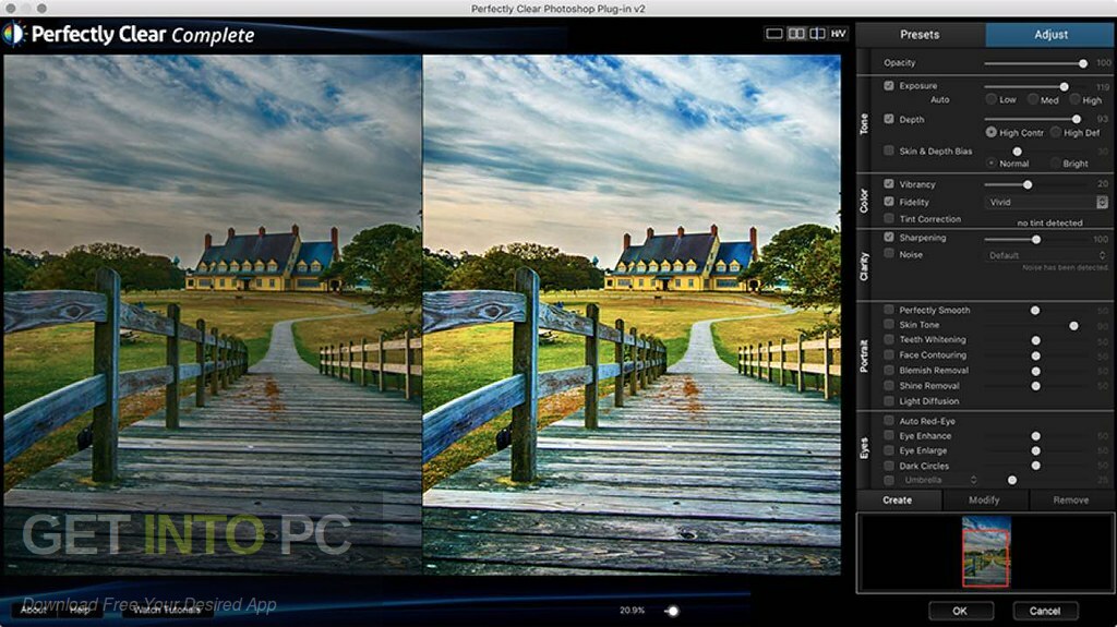 Perfectly Clear Video Free Download