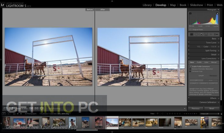 Adobe Master Collection 2022 Free Download