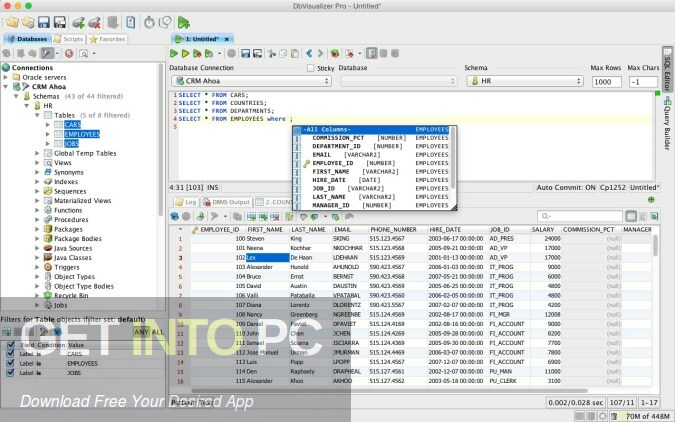 DbVisualizer Pro 2022 Free Download