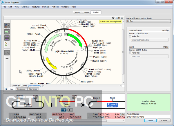 GSL Biotech SnapGene 2021 Free Download