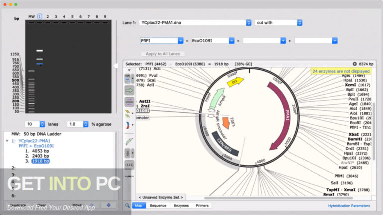 GSL Biotech SnapGene 2021 Free Download